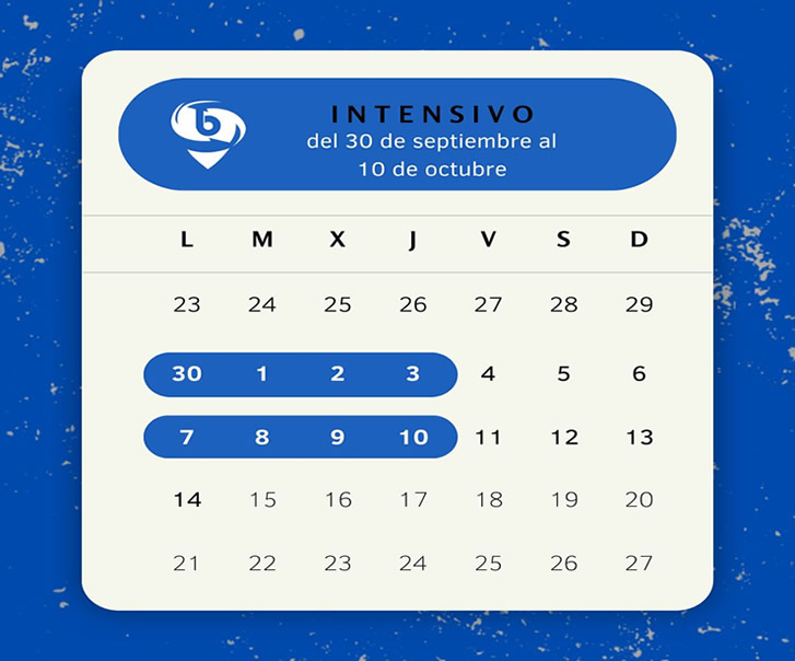 Carnet de conducir teorico 8 días intensivo